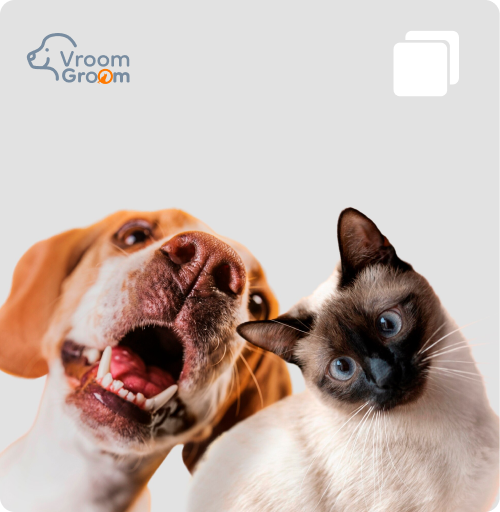 Mobile Dog Grooming Services