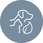 Pet Grooming Services in Dubai