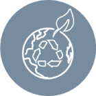 Pet Grooming Services in Dubai