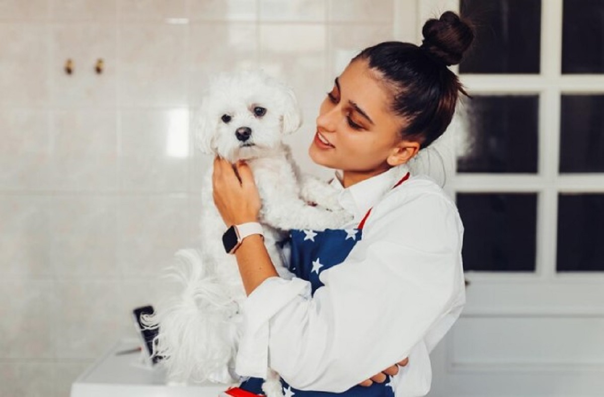 Mobile Pet Grooming Services