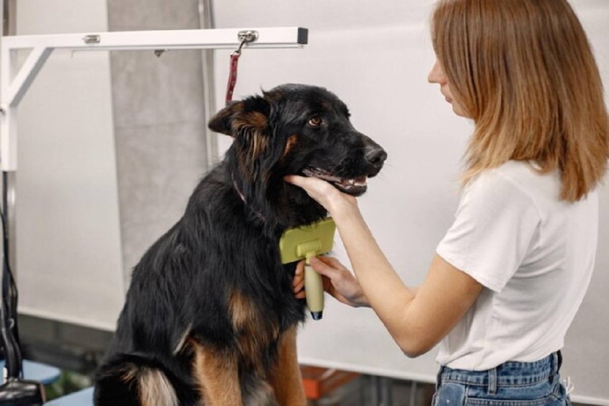 Mobile Pet Grooming