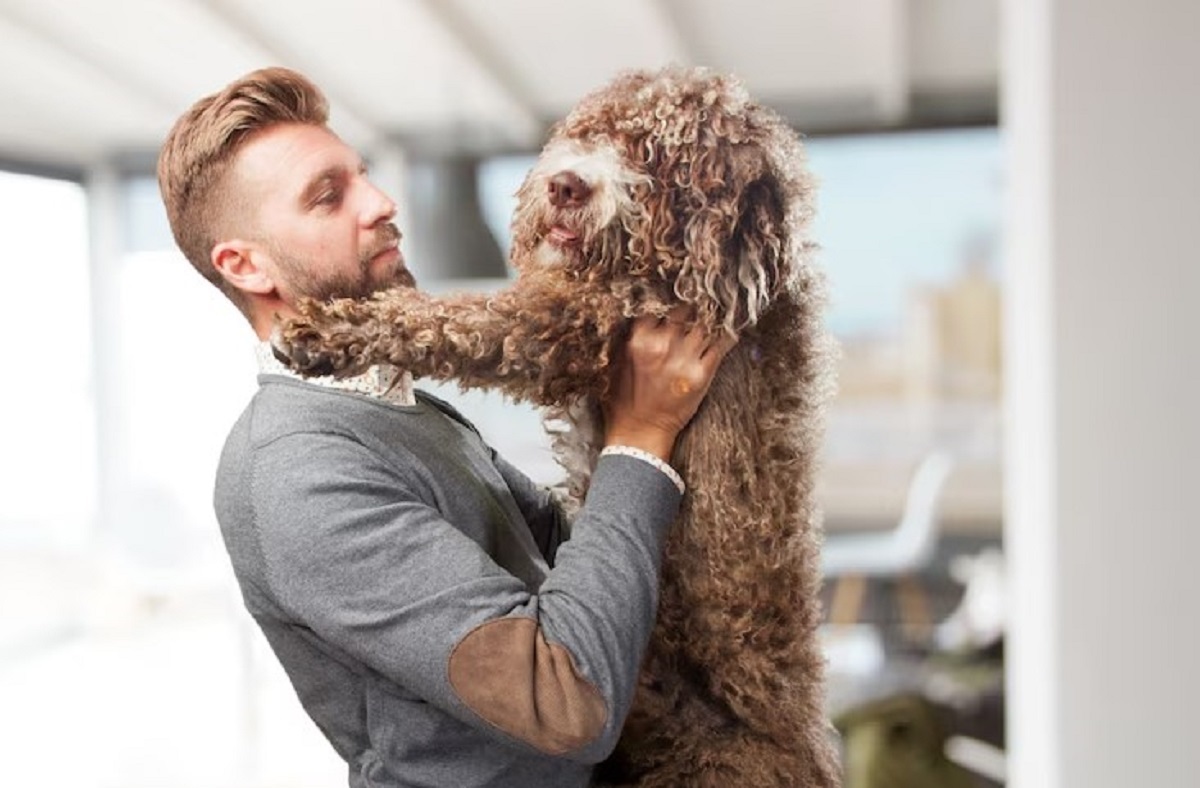 Mobile Pet Grooming Services