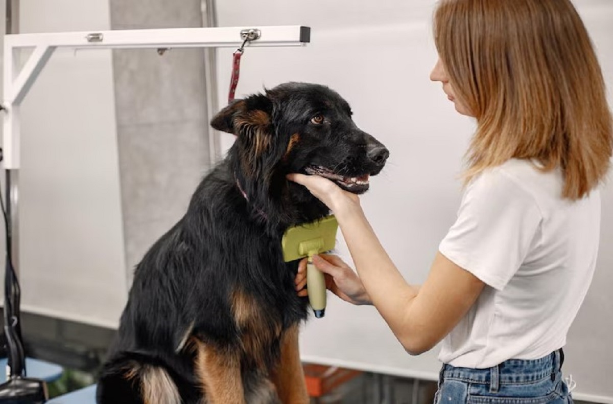 pet grooming services in Dubai