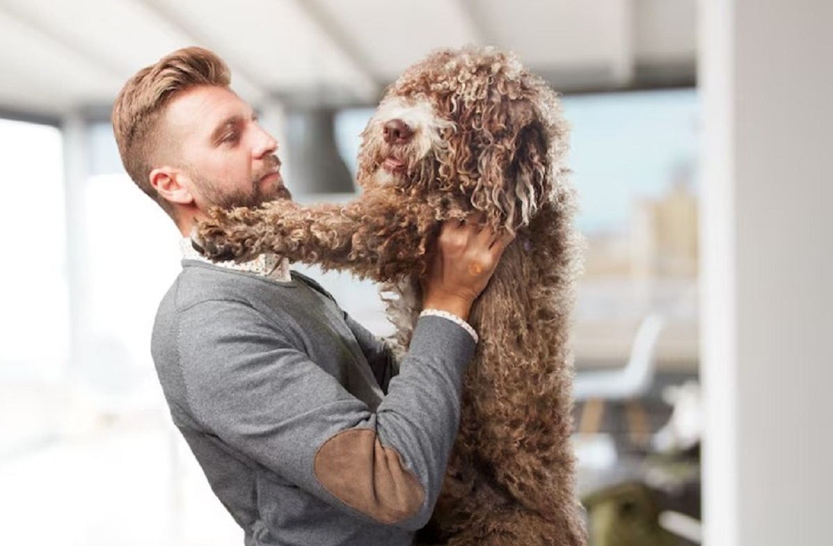 Top Grooming Services