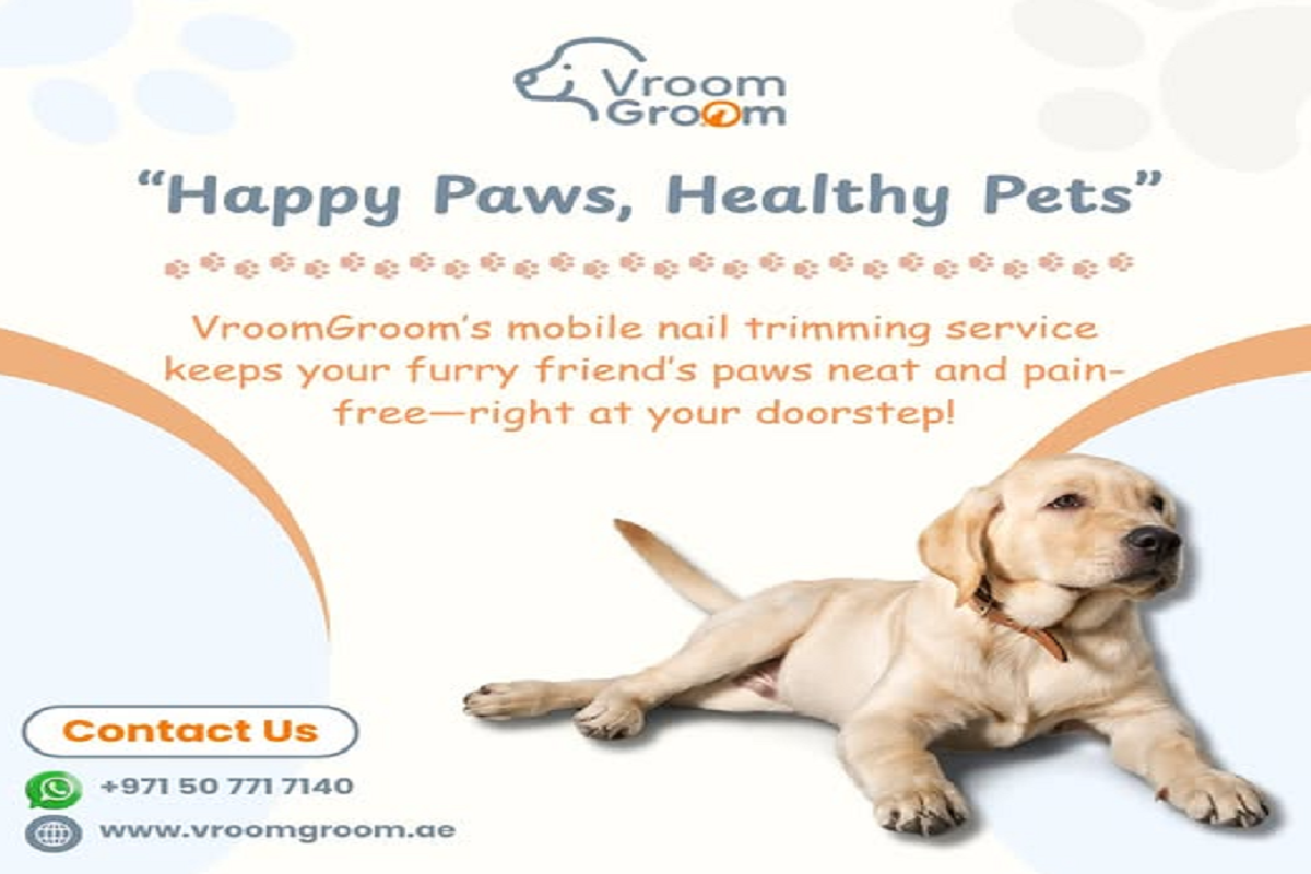 Pet grooming Services