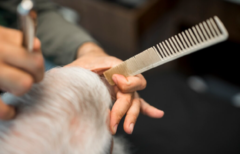 Pet Grooming Services