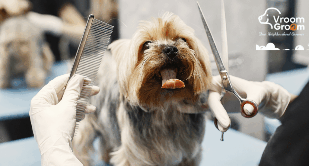 Pet Grooming Services