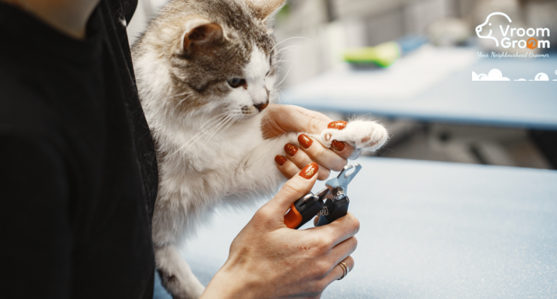 Mobile Pet Grooming