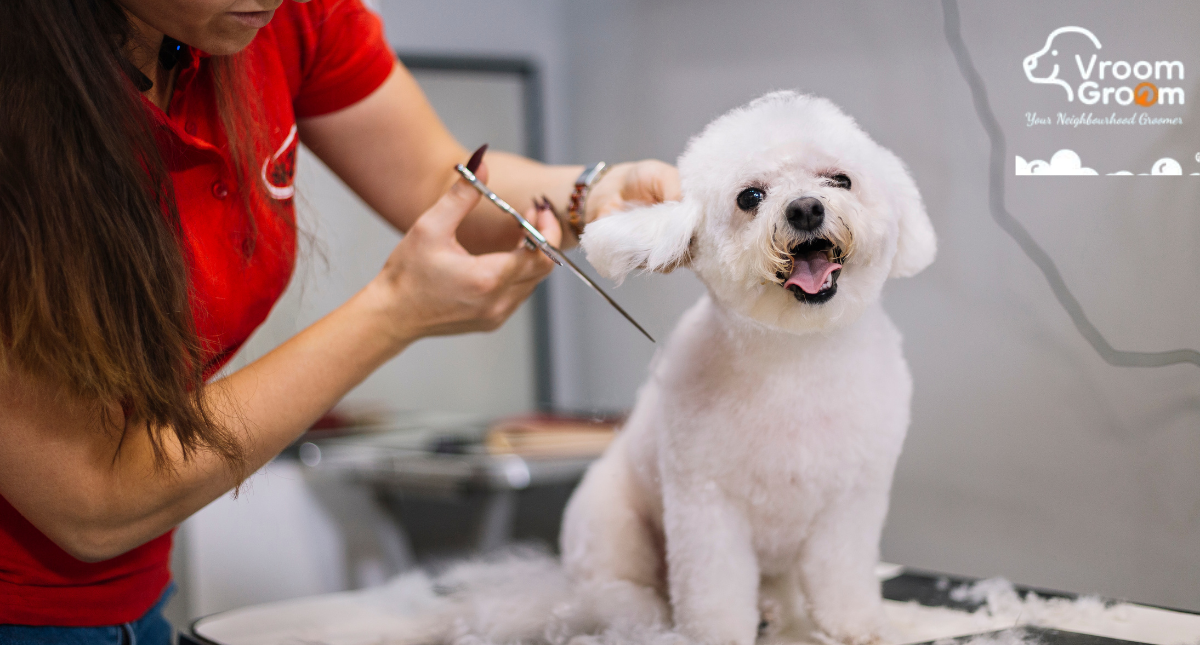 Top Dog Grooming Services