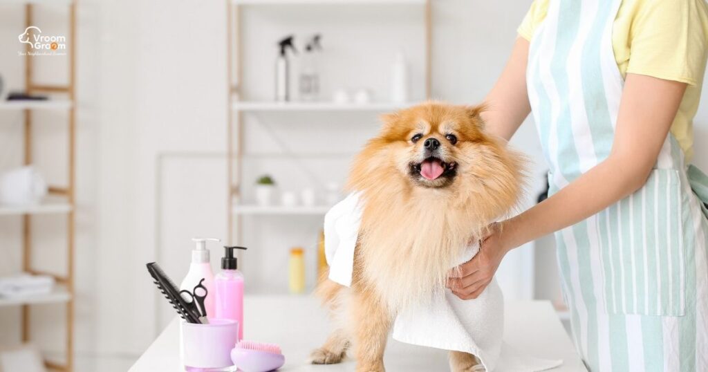 Pet Grooming Services