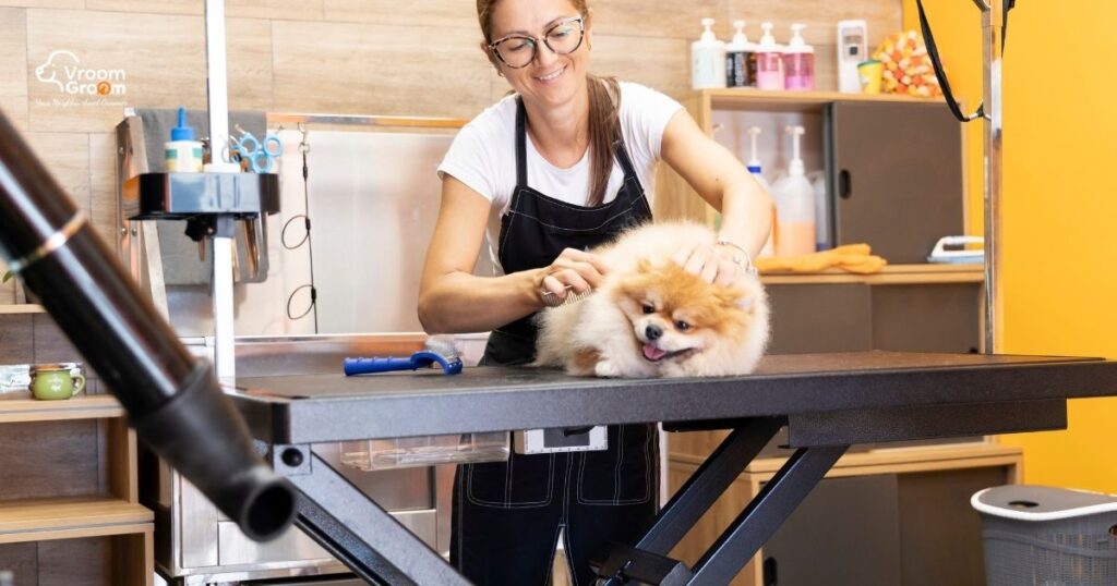 Pet Grooming Services