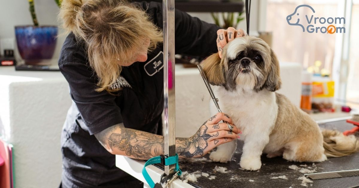 Mobile Pet Grooming in Dubai