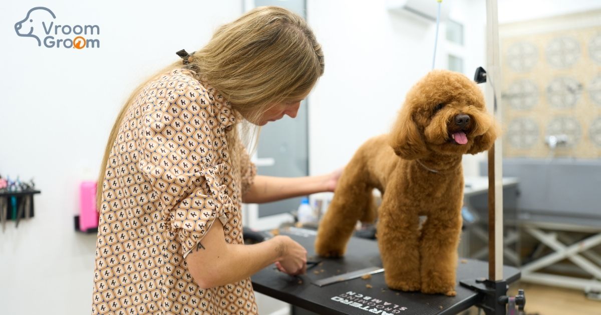 Pet Grooming Services at Home