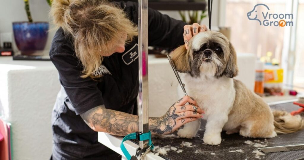 Dog Grooming Near me