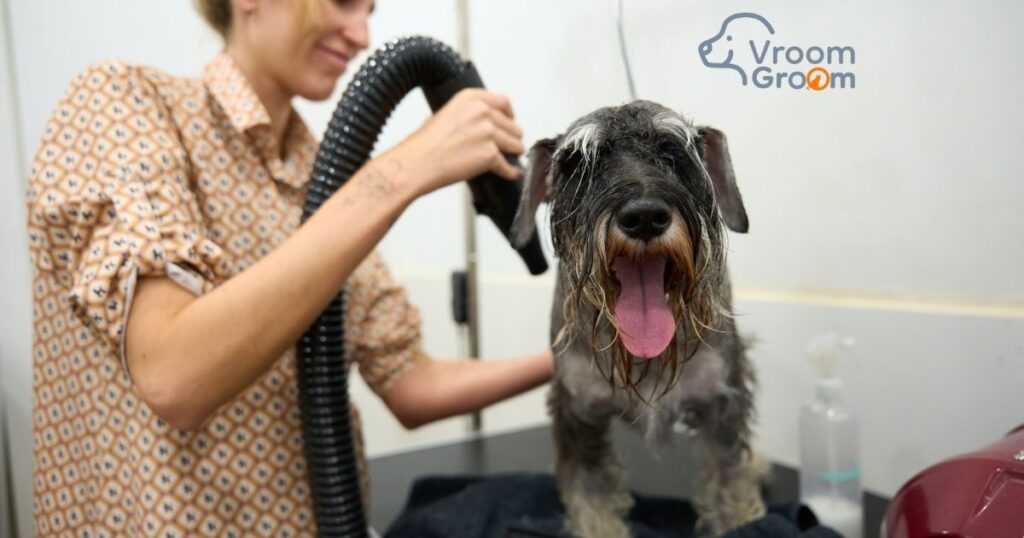 Dog Grooming Services