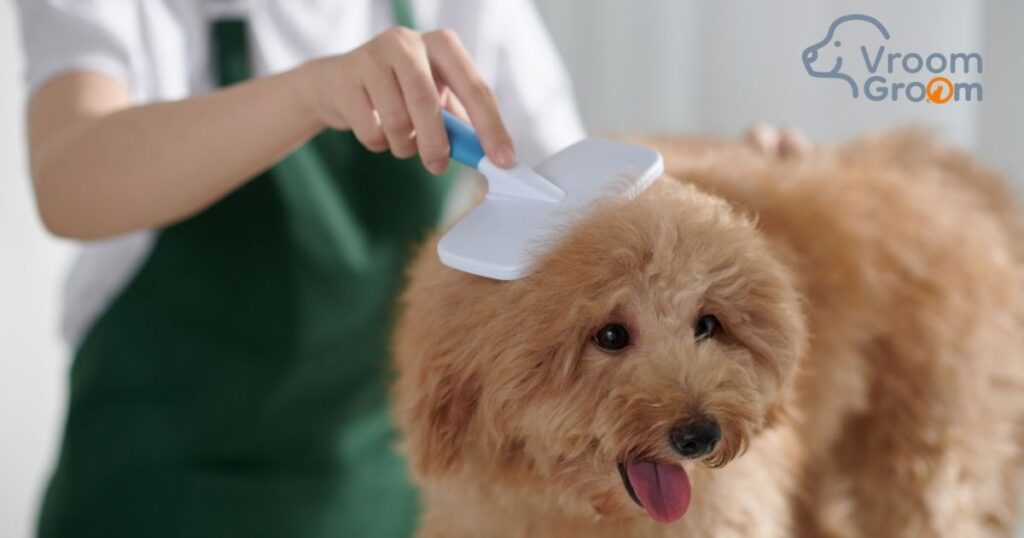 Pet Grooming Services