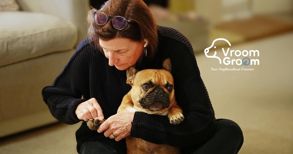 Dog Grooming Near Me