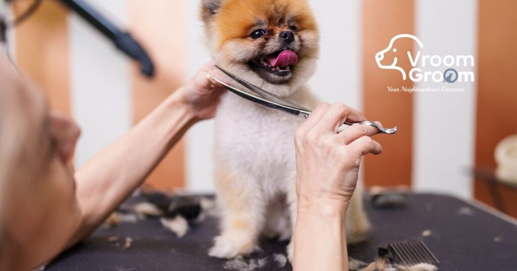 Dog Grooming Services in Dubai