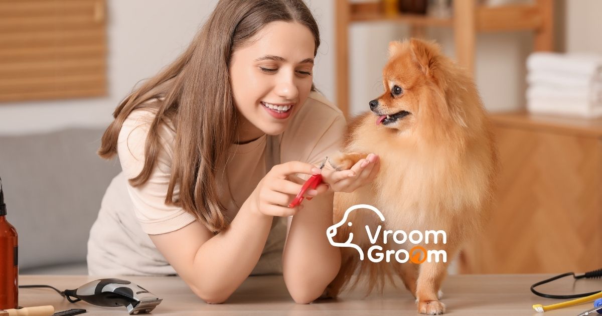 Pet Grooming Home Service
