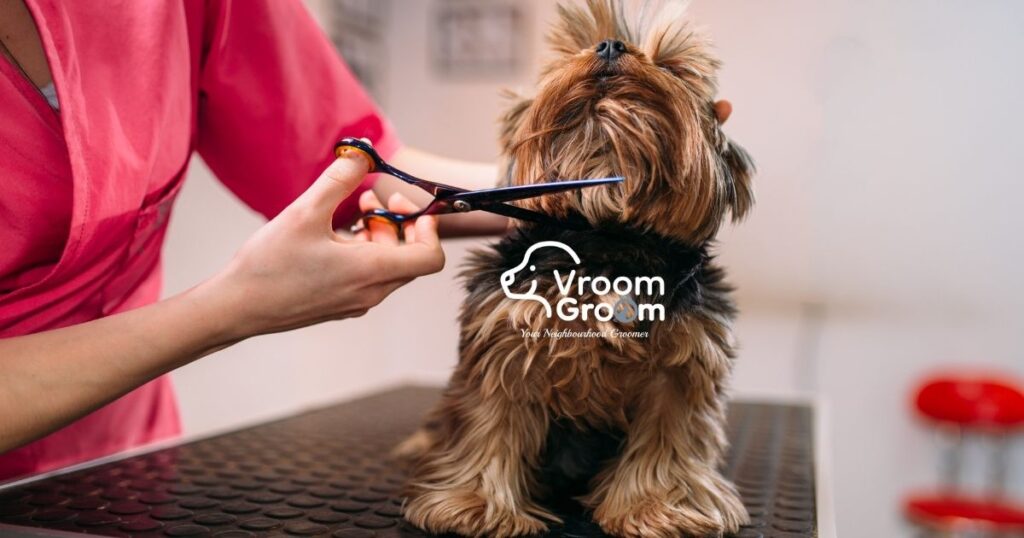 Pet Grooming Services