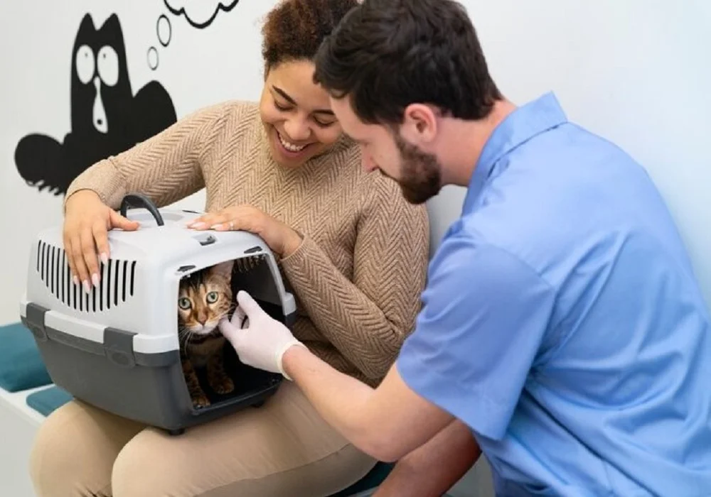 Mobile Pet Grooming Services