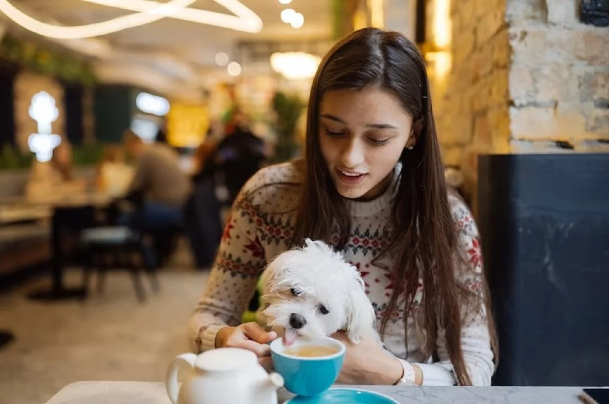 Pet Salon in Dubai
