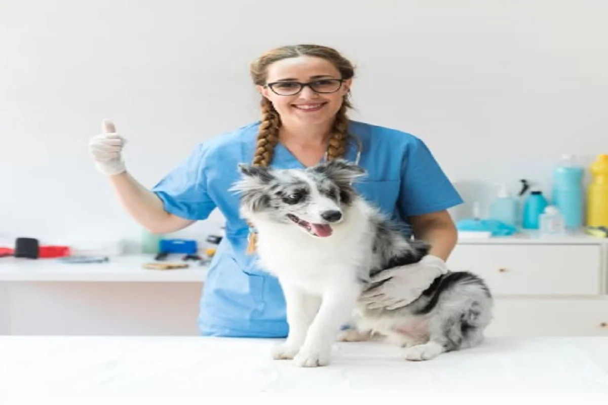 Pet Grooming Services
