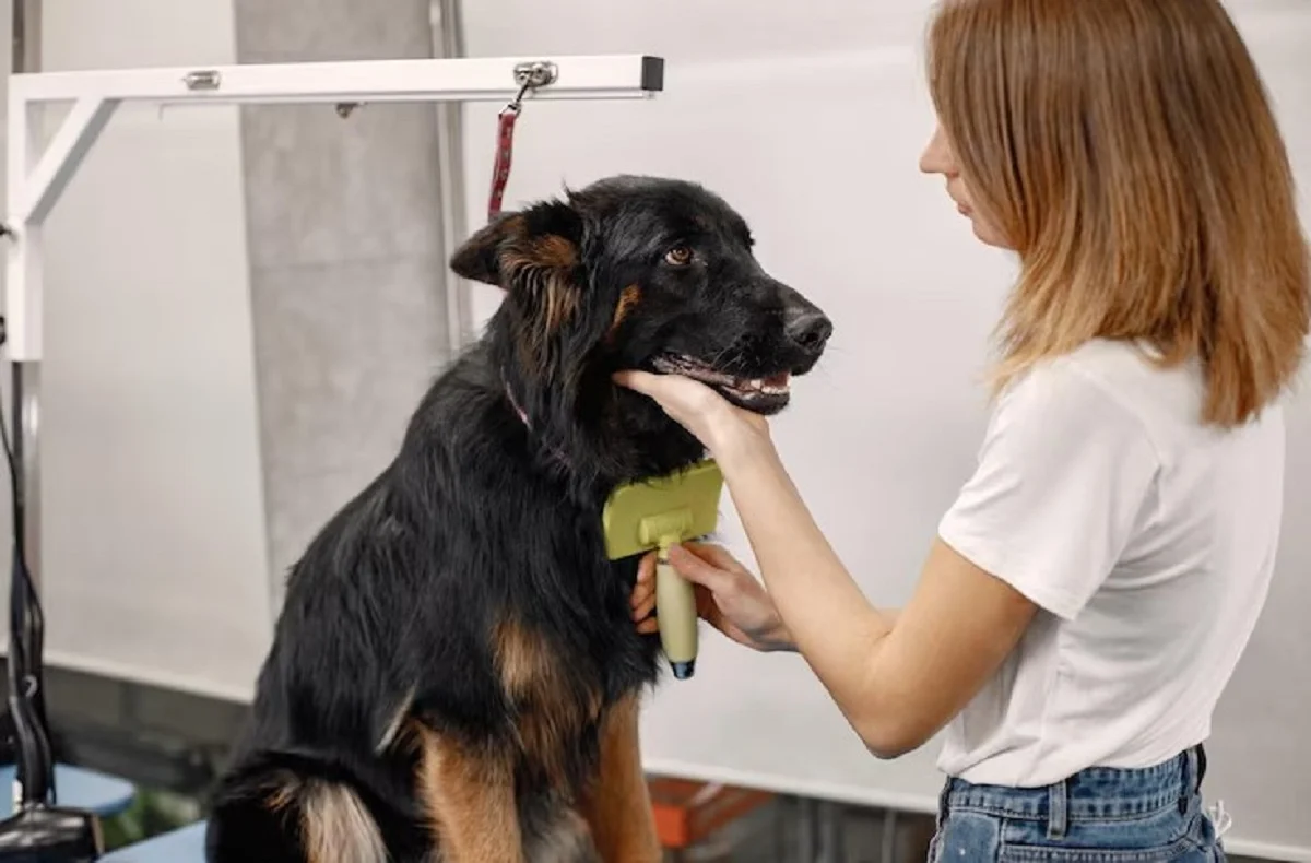 pet grooming services in Dubai
