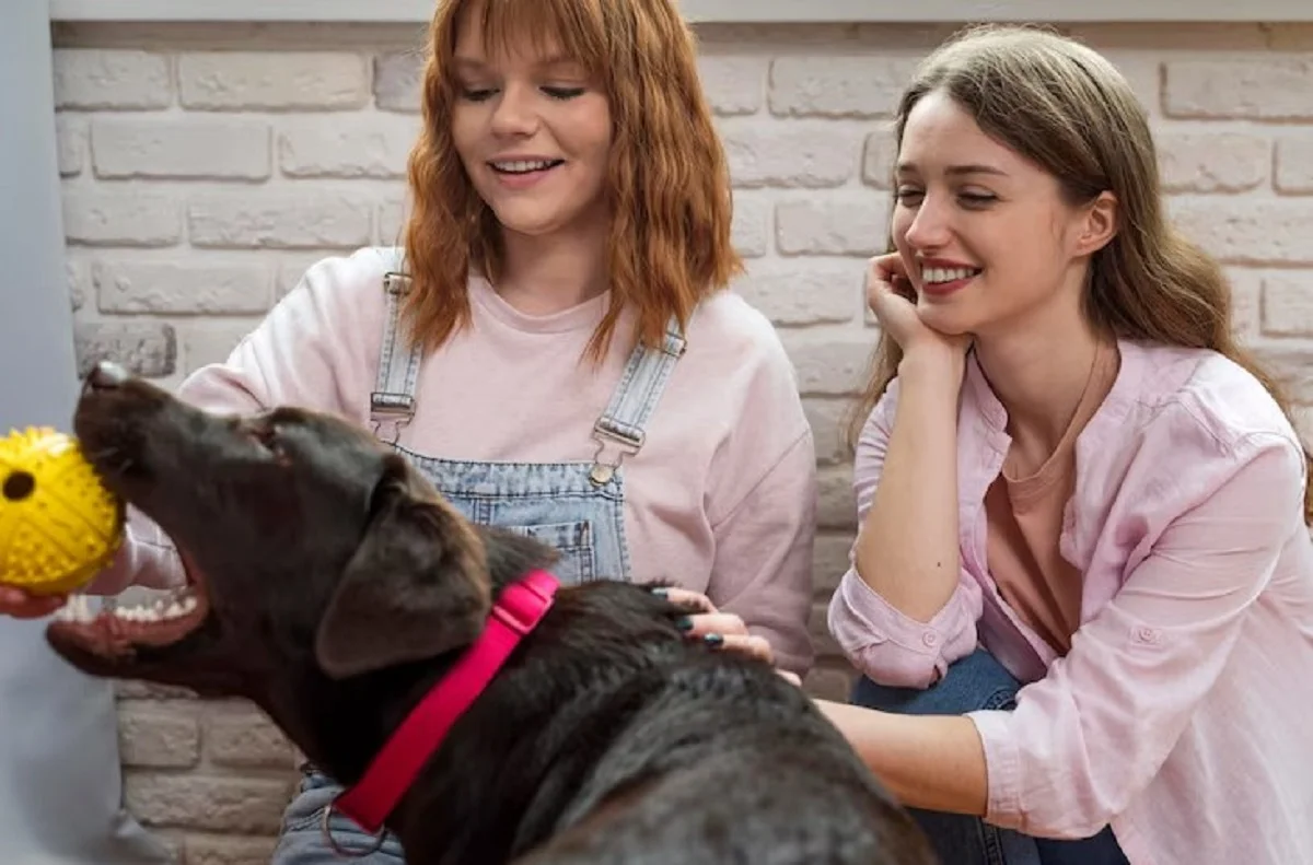 Top Dog Groomers Nearby