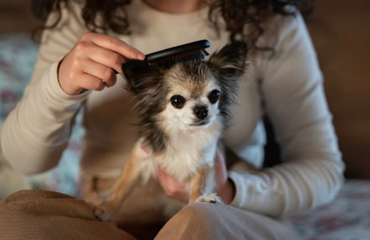 mobile pet grooming