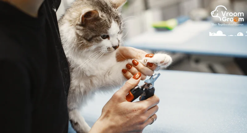 Mobile Pet Grooming