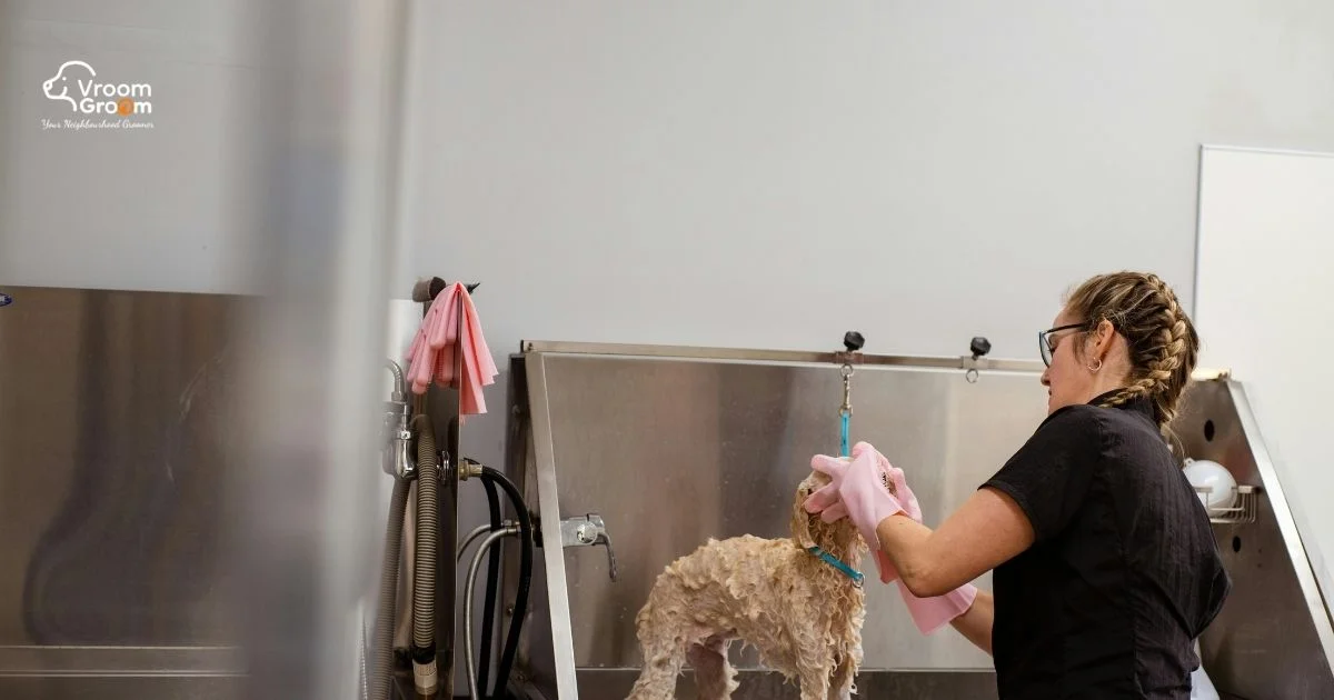 Pet Grooming Services