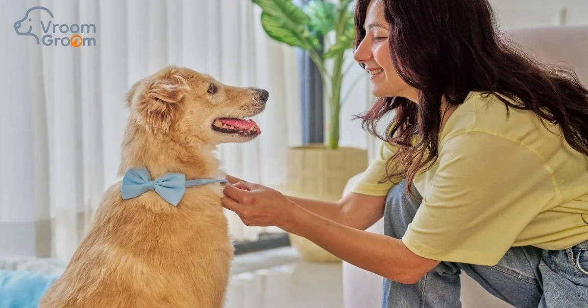 Pet Grooming Services