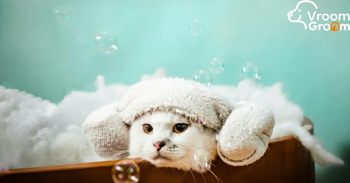 Pet Grooming