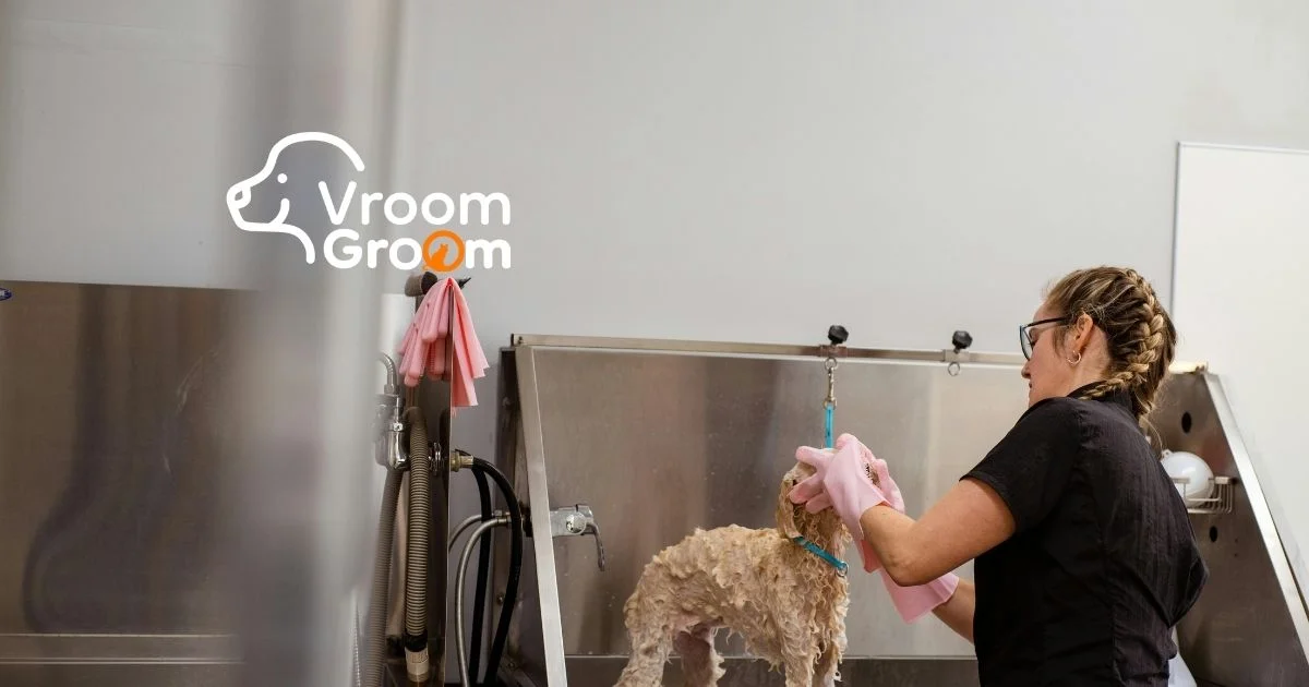 Pet Grooming services