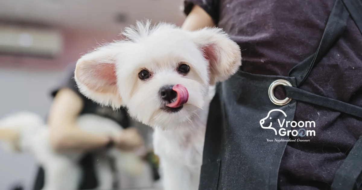 Pet Grooming Salon Van