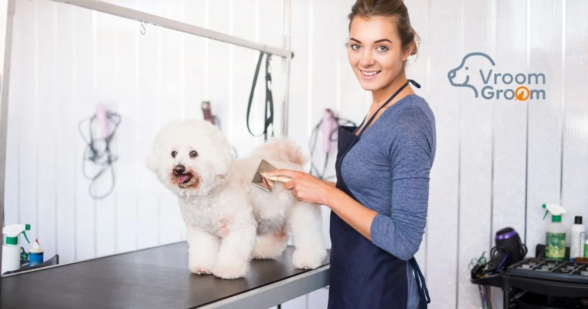 Home Grooming for Pets Common Mistakes and How to Fix