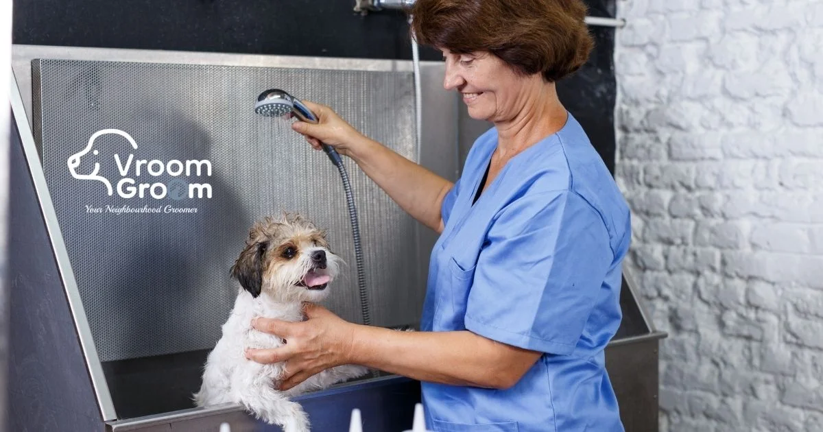 How Often Should You Book Mobile Dog Wash and Grooming