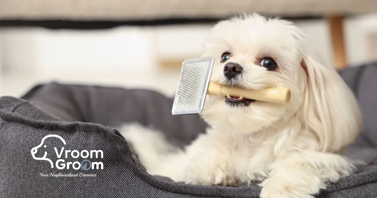 Premium Mobile Pet Spa Dubai Professional Grooming at Your Door