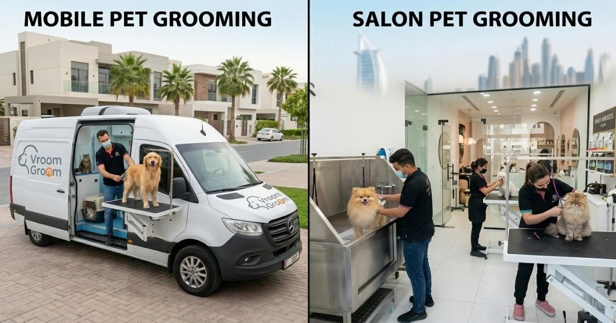 Mobile vs Salon Pet Grooming in Dubai