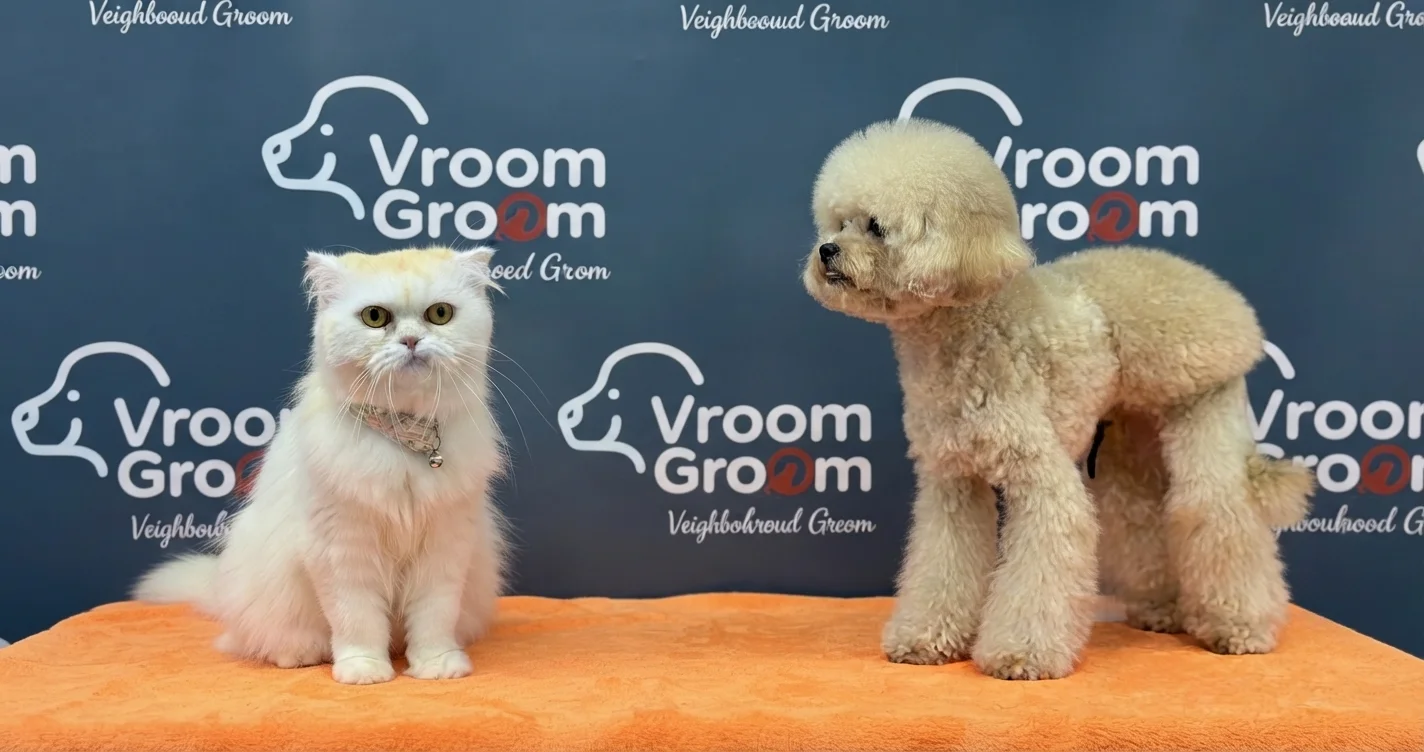 mobile pet grooming